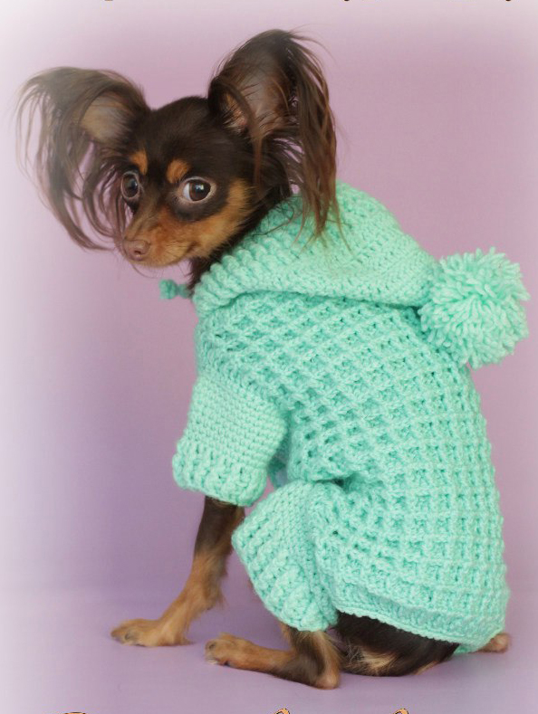 Вязаный вафельный костюмчик для собаки размера S купить в интернет-магазине вязаной одежды
